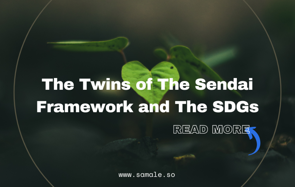 The Twins of The Sendai Framework and The SDGs