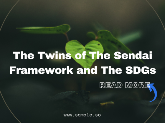 The Twins of The Sendai Framework and The SDGs